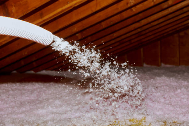Best Spray Foam Insulation  in River Road, NC