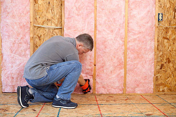 Best Insulation Inspection Services  in River Road, NC